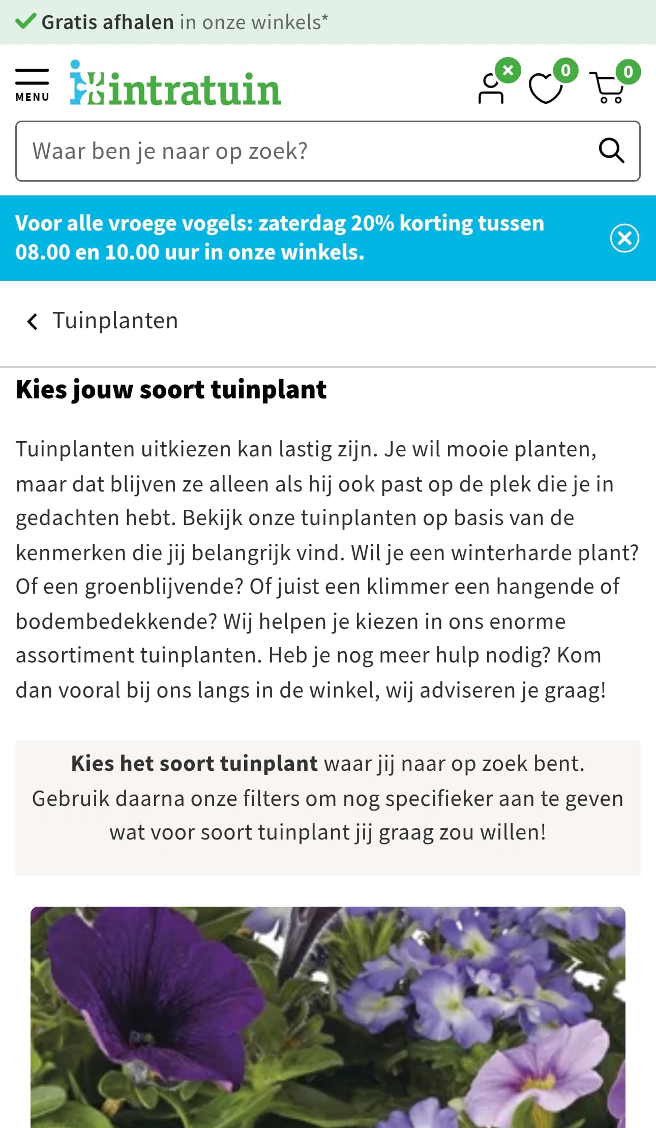 Search Results mobile screenshot